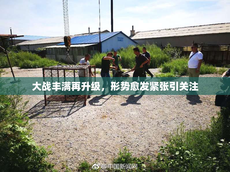 大战丰满再升级，形势愈发紧张引关注