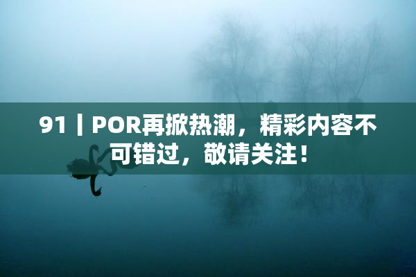91丨POR再掀热潮，精彩内容不可错过，敬请关注！