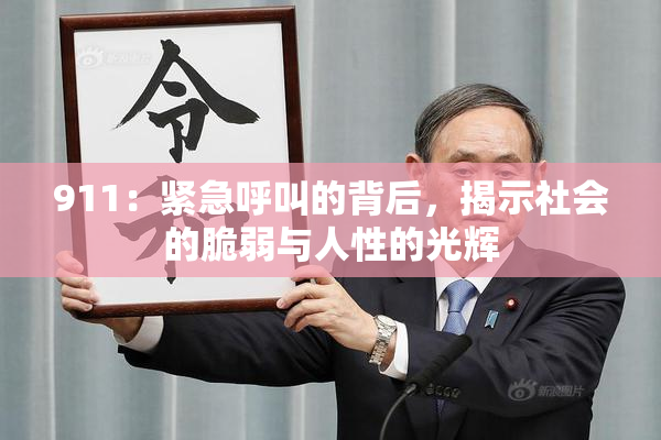 911：紧急呼叫的背后，揭示社会的脆弱与人性的光辉