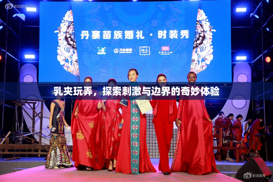 乳夹玩弄，探索刺激与边界的奇妙体验