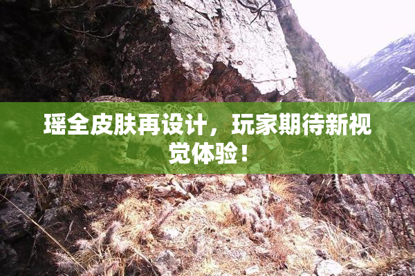 瑶全皮肤再设计，玩家期待新视觉体验！
