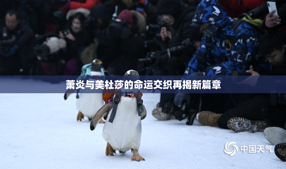 萧炎与美杜莎的命运交织再揭新篇章
