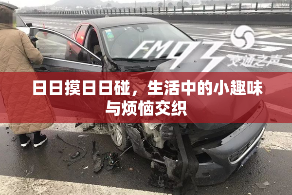 日日摸日日碰，生活中的小趣味与烦恼交织