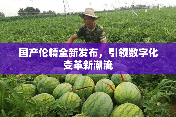 国产伦精全新发布，引领数字化变革新潮流