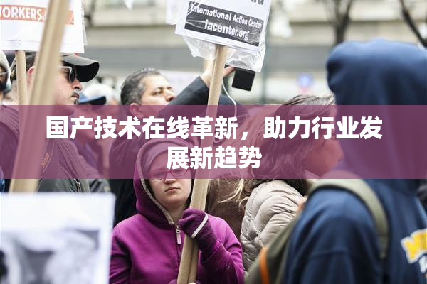 国产技术在线革新，助力行业发展新趋势