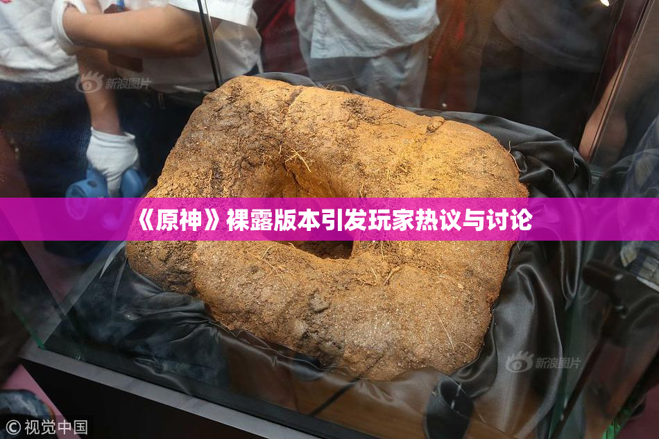 《原神》裸露版本引发玩家热议与讨论