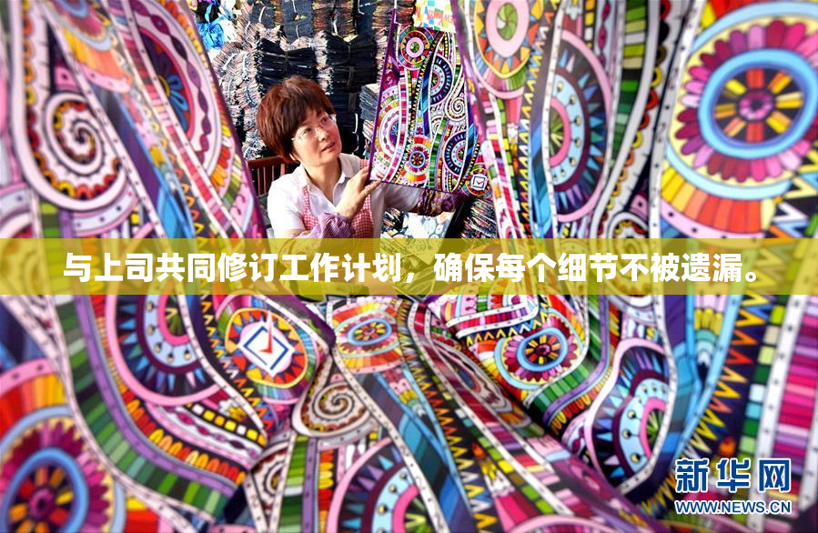 与上司共同修订工作计划，确保每个细节不被遗漏。
