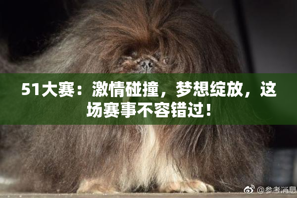 51大赛：激情碰撞，梦想绽放，这场赛事不容错过！