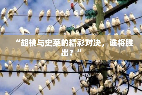 “胡桃与史莱的精彩对决，谁将胜出？”