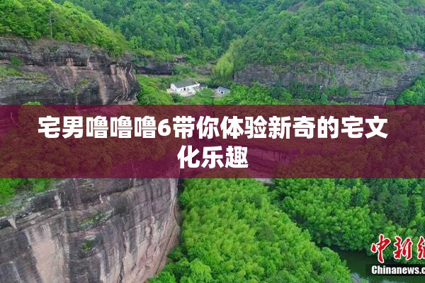 宅男噜噜噜6带你体验新奇的宅文化乐趣