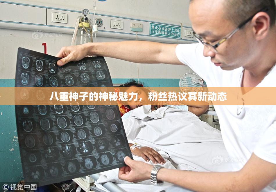 八重神子的神秘魅力，粉丝热议其新动态
