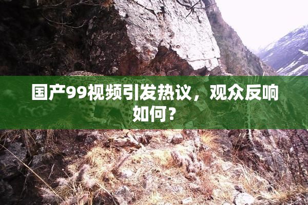 国产99视频引发热议，观众反响如何？