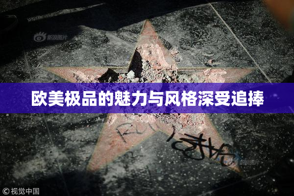 欧美极品的魅力与风格深受追捧
