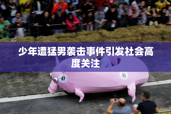 少年遭猛男袭击事件引发社会高度关注