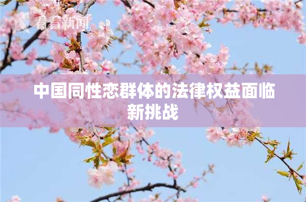中国同性恋群体的法律权益面临新挑战