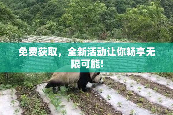 免费获取，全新活动让你畅享无限可能!