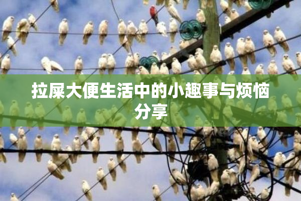 拉屎大便生活中的小趣事与烦恼分享