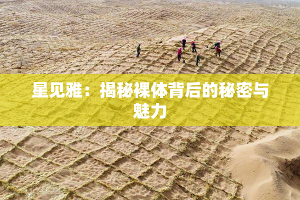 星见雅：揭秘裸体背后的秘密与魅力