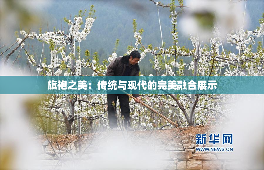旗袍之美：传统与现代的完美融合展示