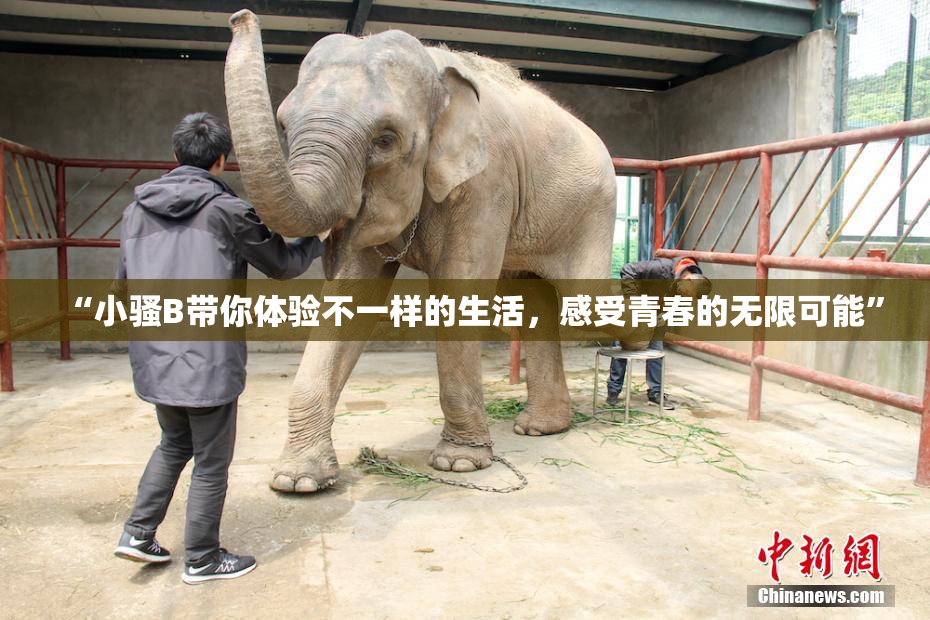 “小骚B带你体验不一样的生活，感受青春的无限可能”