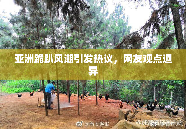 亚洲跪趴风潮引发热议，网友观点迥异