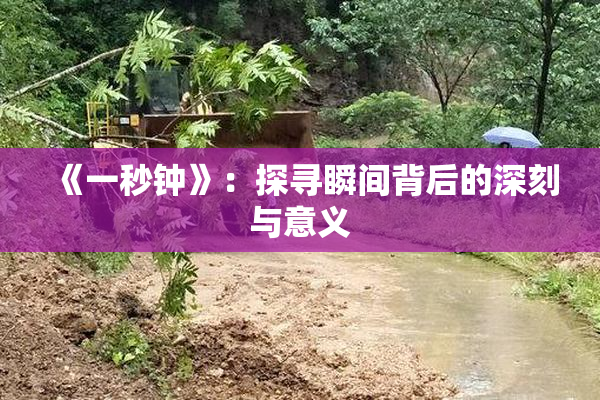 《一秒钟》：探寻瞬间背后的深刻与意义