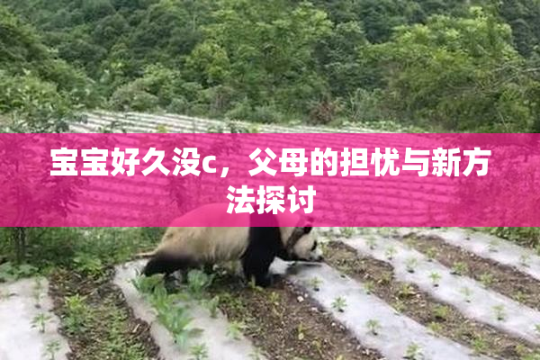 宝宝好久没c，父母的担忧与新方法探讨