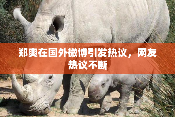 郑爽在国外微博引发热议，网友热议不断