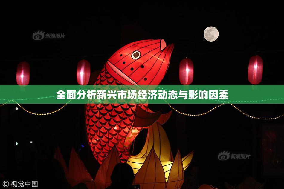 全面分析新兴市场经济动态与影响因素