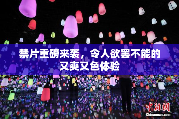 禁片重磅来袭，令人欲罢不能的又爽又色体验