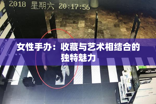 女性手办：收藏与艺术相结合的独特魅力