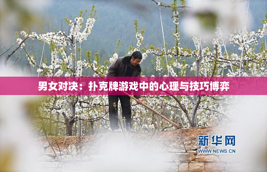 男女对决：扑克牌游戏中的心理与技巧博弈