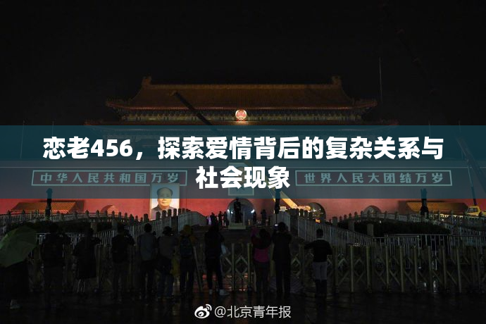 恋老456，探索爱情背后的复杂关系与社会现象