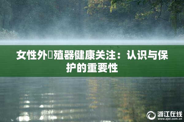 女性外夝殖器健康关注：认识与保护的重要性