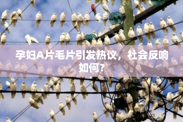 孕妇A片毛片引发热议，社会反响如何？