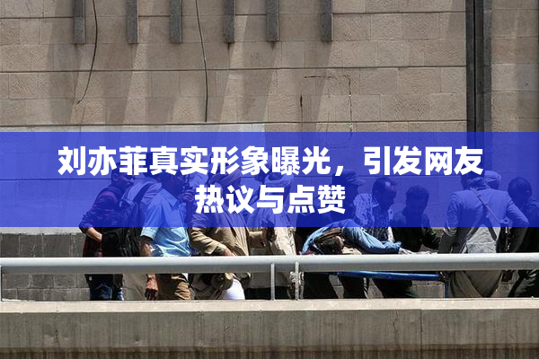 刘亦菲真实形象曝光，引发网友热议与点赞