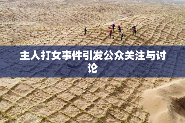 主人打女事件引发公众关注与讨论