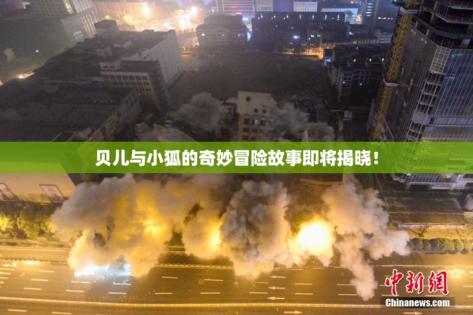 贝儿与小狐的奇妙冒险故事即将揭晓！