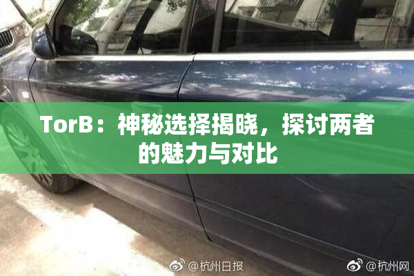 TorB：神秘选择揭晓，探讨两者的魅力与对比