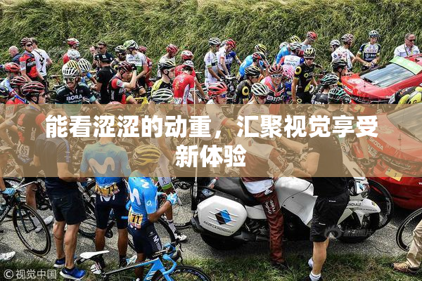 能看涩涩的动重，汇聚视觉享受新体验