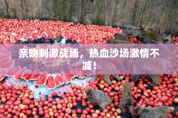 亲吻刺激战场，热血沙场激情不减！