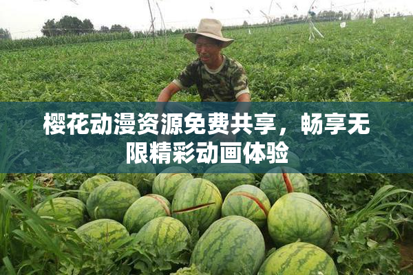 樱花动漫资源免费共享，畅享无限精彩动画体验