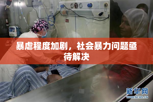 暴虐程度加剧，社会暴力问题亟待解决