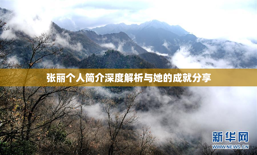 张丽个人简介深度解析与她的成就分享