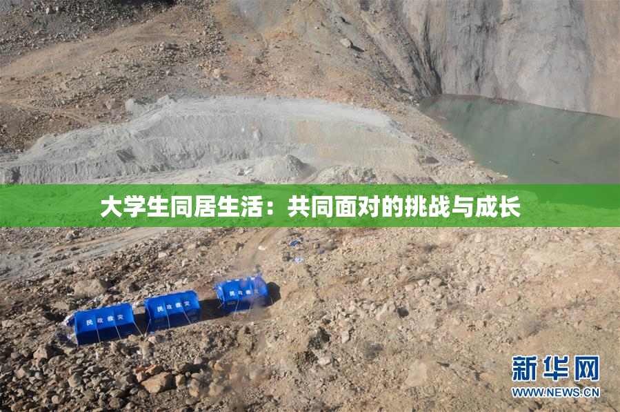 大学生同居生活：共同面对的挑战与成长