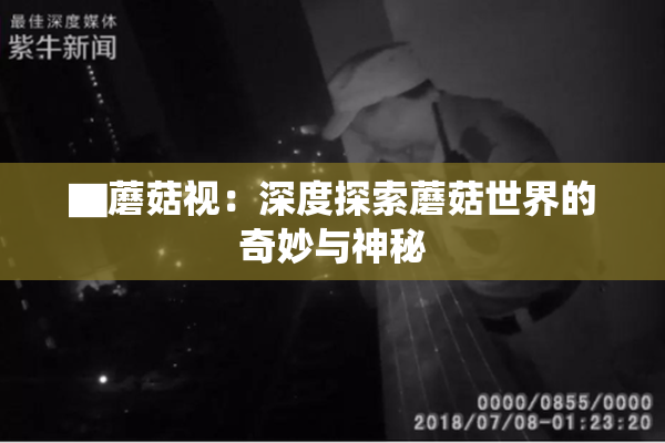 ▇蘑菇视：深度探索蘑菇世界的奇妙与神秘