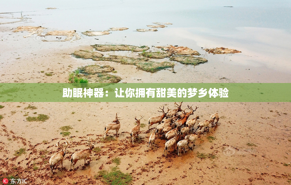 助眠神器：让你拥有甜美的梦乡体验