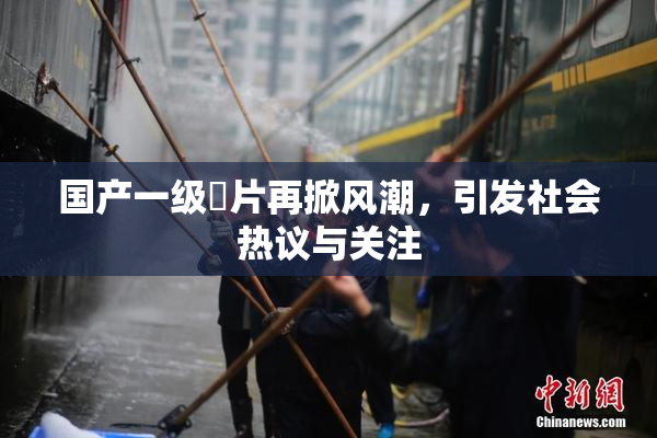 国产一级婬片再掀风潮，引发社会热议与关注