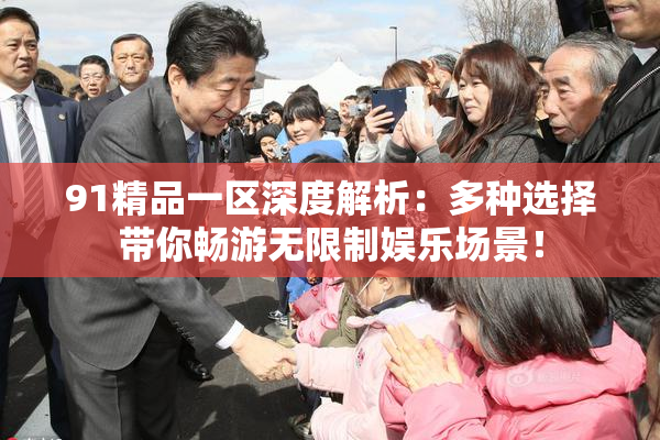 91精品一区深度解析：多种选择带你畅游无限制娱乐场景！