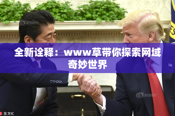 全新诠释：www草带你探索网域奇妙世界